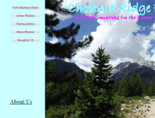 Tablet Screenshot of chestnutridgeforestry.com
